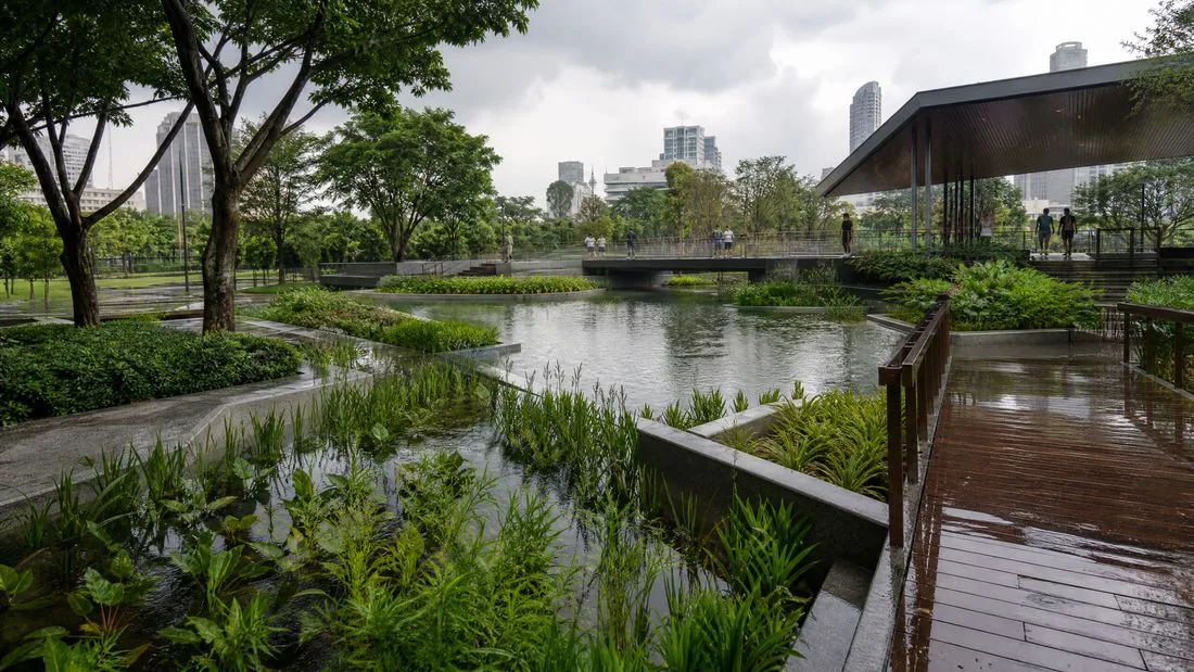 สวนพื้นที่ชุ่มน้ำในเมือง พร้อมทางเดินไม้และพืชน้ำ